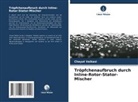 Chayut Vaikasi - Tröpfchenaufbruch durch Inline-Rotor-Stator-Mischer