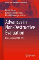 Bikash Ghose, Ravibabu Mulaveesala, Phani Mylavarapu - Advances in Non-Destructive Evaluation