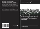 Chayut Vaikasi - Rotura de gotas mediante mezclador rotor-estator en línea