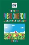 Spinanto - Poesie Come Fiori