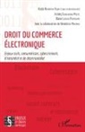 Ashley Diangienda Mvete, Blaise Loleka Ramazani, Bénédicte Mbambu, Kodjo Ndukuma Adjayi - Droit du commerce électronique