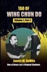 James Demile - Tao of Wing Chun Do Vol 1, Part 2