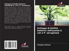 Tolulope Enitinwa - Sviluppo di biofilm batterici utilizzando E. coli e P. aeruginosa