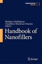 Chaudhery Mustansar Hussain, Shadpour Mallakpour, Mustansar Hussain - Handbook of Nanofillers, 4 Teile