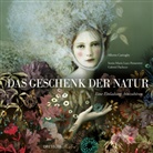 Alberto Casiraghy, Sonia Maria Luce Possentini, Gabriel Pacheco, Sonia Maria Luce Possentini - Das Geschenk der Natur