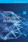 Mattiello Elisa - Transitional Morphology