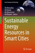Ali Ahmadian, Ali Almansoori, Ali Almansoori et al, Ali Diabat, Ali Elkamel - Sustainable Energy Resources in Smart Cities