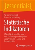Werner Grünewald, Hans-Joachim Mittag - Statistische Indikatoren