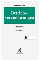 Patrizia Chwalisz u a, Nathalie Oberthür, Stefan Seitz - Betriebsvereinbarungen