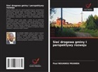 Paul Nguangu Muanda - Siec drogowa gminy I perspektywy rozwoju