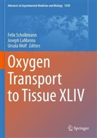 Joseph LaManna, Felix Scholkmann, Ursula Wolf - Oxygen Transport to Tissue XLIV