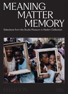 Connie H. Choi, Thelma Golden, Golden Thelma, Kinshasha Holman-Conwill, Mary Schmidt Campbell, Lowery Stokes Sims - Meaning Matter Memory