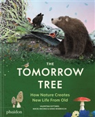 Maciej Michno, Danio Miserocchi, Valentina Gottardi - The Tomorrow Tree
