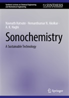 Hemantkumar N Akolkar, Hemantkumar N. Akolkar, A K Haghi, A. K. Haghi, Navnath Hatvate - Sonochemistry