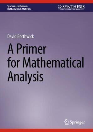 David Borthwick - A Primer for Mathematical Analysis