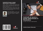 Cristina Guiane Vilanculos - Contratti di lavoro a tempo determinato in Mozambico