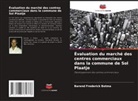 Barend Frederick Botma - Évaluation du marché des centres commerciaux dans la commune de Sol Plaatje