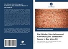 Valmir Pereira Cunha - Die (Wieder-)Herstellung und Aufwertung des städtischen Raums in Boa Vista-RR
