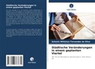 Antonio Willamys Fernandes da Silva - Städtische Veränderungen in einem geplanten Viertel