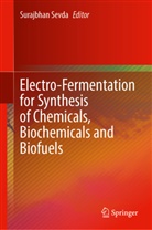 Surajbhan Sevda - Electro-Fermentation for Synthesis of Chemicals, Biochemicals and Biofuels