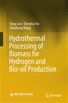 Yang Guo, Shuzhong Wang, Donghai Xu - Hydrothermal Processing of Biomass for Hydrogen and Bio-oil Production