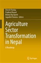 Prabhat Khanal, Dinesh Panday, Bishnu Raj Upreti et al, Jagadish Timsina, Bishnu Raj Upreti - Agriculture Sector Transformation in Nepal