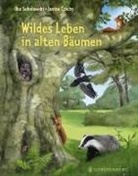 Janine Czichy, Ilka Sokolowski, Janine Czichy - Wildes Leben in alten Bäumen
