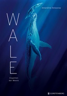Amandine Delaunay, Ursula Bachhausen - Wale