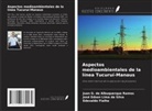 Juan G. de Albuquerque Ramos, Edevaldo Fialho, José Edson Lima da Silva - Aspectos medioambientales de la línea Tucuruí-Manaus