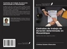 Cristina Guiane Vilanculos - Contratos de trabajo de duración determinada en Mozambique