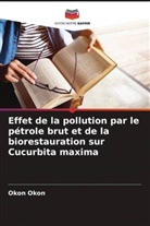 Okon Okon - Effet de la pollution par le pétrole brut et de la biorestauration sur Cucurbita maxima