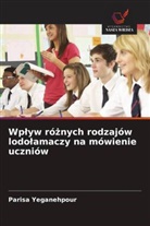 Parisa Yeganehpour - Wplyw róznych rodzajów lodolamaczy na mówienie uczniów