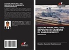 Shodiev Ramshid Mukhtorovich - SISTEMI PRINCIPALI DEL DEPOSITO DI CARBONE DI SHARGUNSKOYE