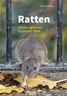 Irene Weinberger - Ratten