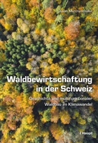 Julian Muhmenthaler - Waldbewirtschaftung in der Schweiz