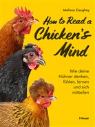Melissa Caughey - How to Read a Chicken's Mind