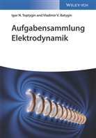 Vladimir V Batygin, Vladimir V. Batygin, Igor N Toptygin, Igor N. Toptygin - Aufgabensammlung Elektrodynamik
