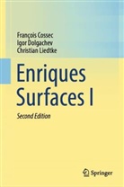 François Cossec, Igor Dolgachev, Christia Liedtke, Christian Liedtke - Enriques Surfaces I