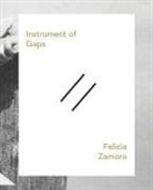 Felicia Zamora - Instrument of Gaps