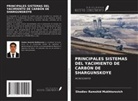 Shodiev Ramshid Mukhtorovich - PRINCIPALES SISTEMAS DEL YACIMIENTO DE CARBÓN DE SHARGUNSKOYE