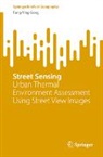 Fang-Ying Gong - Street Sensing