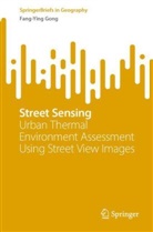 Fang-Ying Gong - Street Sensing
