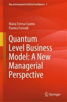 Maria Teresa Cuomo, Pantea Foroudi - Quantum Level Business Model: A New Managerial Perspective