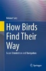 Helmut Satz - How Birds Find Their Way