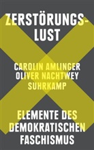 Carolin Amlinger, Oliver Nachtwey - Zerstörungslust