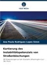 Ana Paula Rodrigues Lopes Simm - Kartierung des Instabilitätspotenzials von Straßenböschungen