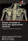 Marcio J B. Cardoso, Klaidson Antonio Sousa Farias, Marcus V Lia Fook - Sintesi di fosfati di calcio per applicazioni mediche