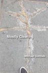 Michael Gottlieb - Mostly Clearing