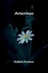 Hulbert Footner - Antennae