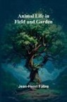 Jean-Henri Fabre - Animal Life in Field and Garden